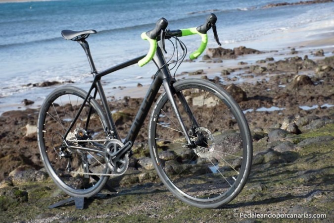 Focus Paralane 2016 Bike Shop In Tenerife